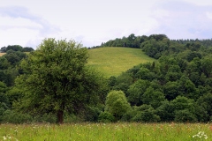 Bieszczady 2016